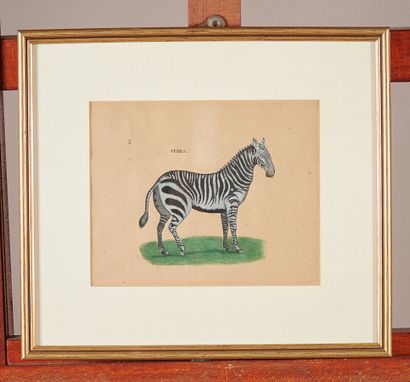 A lot of prints on the Far East, reproductions...