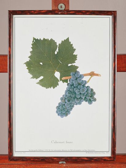 A lot of prints on wine, reproductions and...