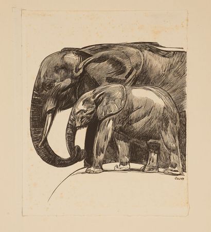 After Paul JOUVE (1878-1973)
Elephant and...