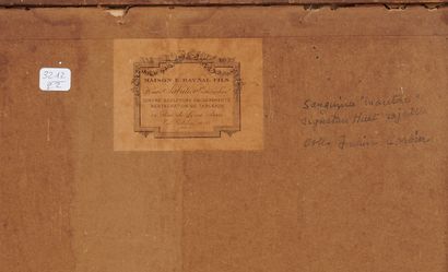 18th century FRENCH school
Two sheep together
Sanguine...