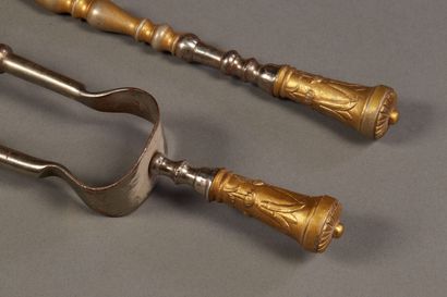 Fireplace set including a steel and gilded...