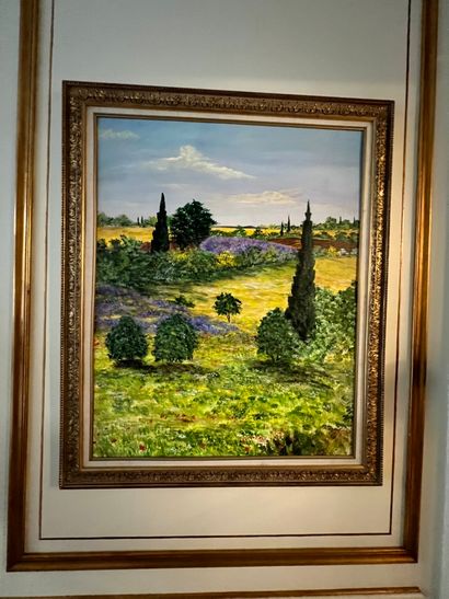 Modern school

Landscape of provence

Oil...