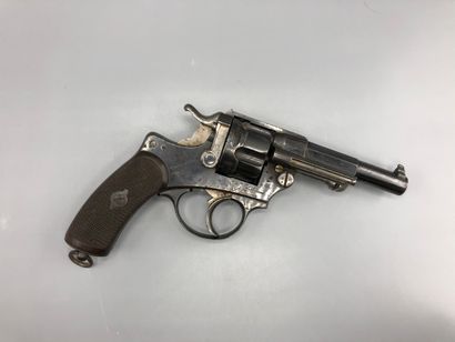Pistol 1874 (papers supplied)