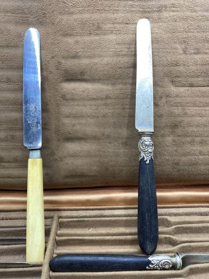 MIRAULT in Paris

11 knives steel blade and...