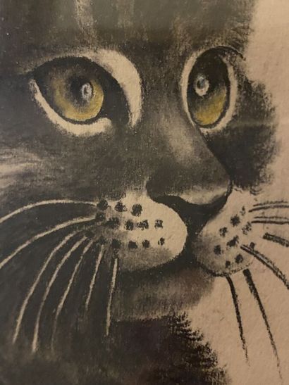 Modern School 

The painter's cat

Charcoal...