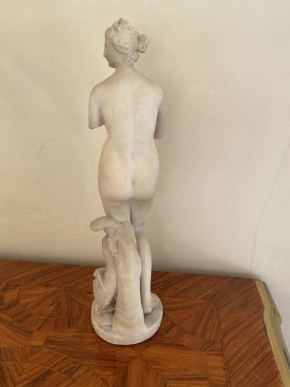Copy after the antique of the Medici Venus...