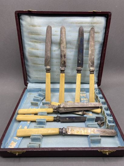 9 Cheese knives with silver blade (two knives...