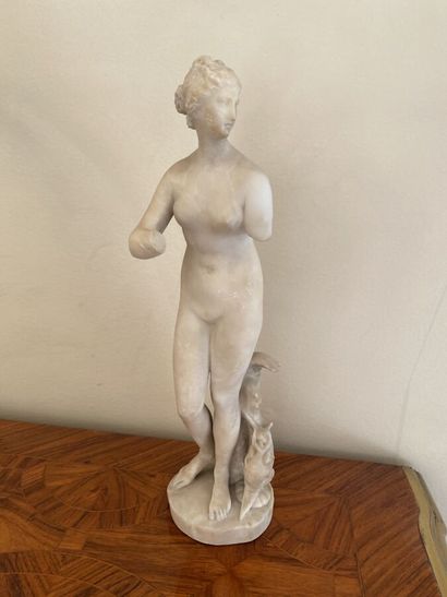 Copy after the antique of the Medici Venus...