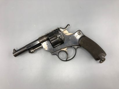 Pistol 1874 (papers supplied)