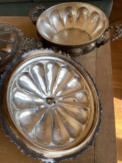 Two metal plated vegetable dishes with rich...