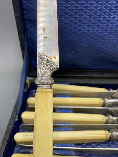 12 dessert knives with silver blade and resin...