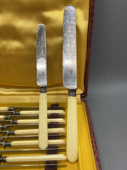 FUCH in Paris

12 large knives steel blade...