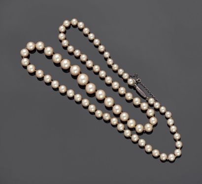 
Fake pearl necklace, broken thread
