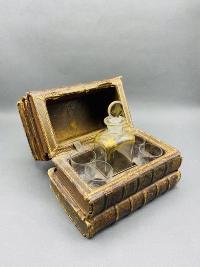 Cave à liqueur dissiumlée dans des livres...