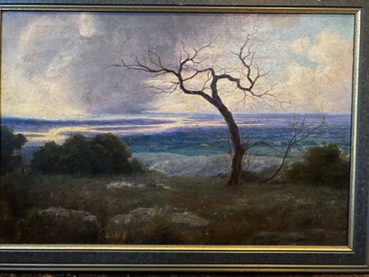 Ecole MODERNE
Paysage à l'arbre 
Huile sur...