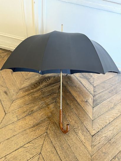 Parapluie