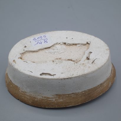 Moulage en plâtre représentant un scarabé,...