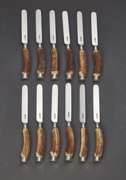 Set of twelve fruit knives, silver blades,...