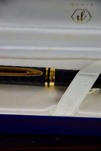 WATERMAN Paris Fountain pen MAN 100 OPERA...