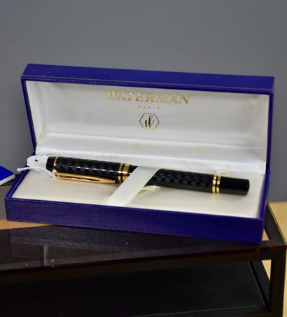 WATERMAN Paris Fountain pen MAN 100 OPERA...