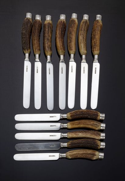 Set of twelve fruit knives, silver blades,...