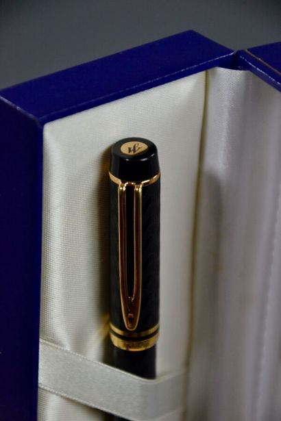 WATERMAN Paris Fountain pen MAN 100 OPERA...