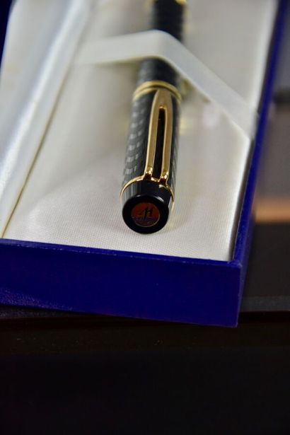 WATERMAN Paris Fountain pen MAN 100 OPERA...