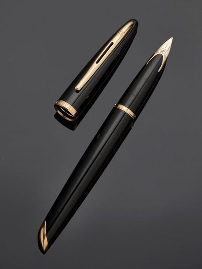 WATERMAN CARENE fountain pen
The model is...