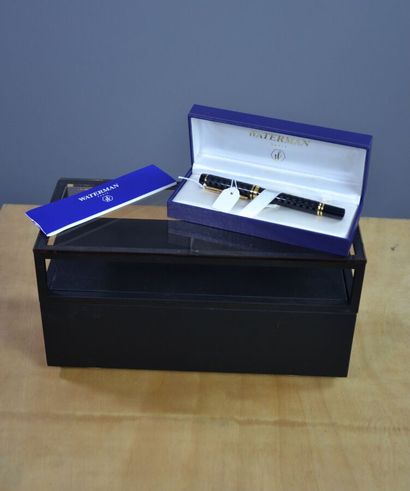 WATERMAN Paris Fountain pen MAN 100 OPERA...