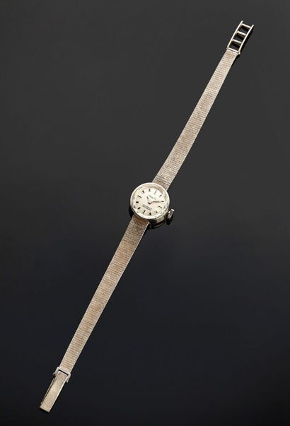 Small lady's watch in 14K white gold (585...