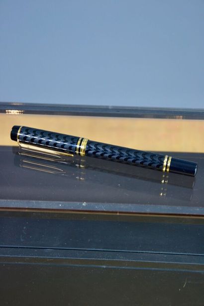 WATERMAN Paris Fountain pen MAN 100 OPERA...