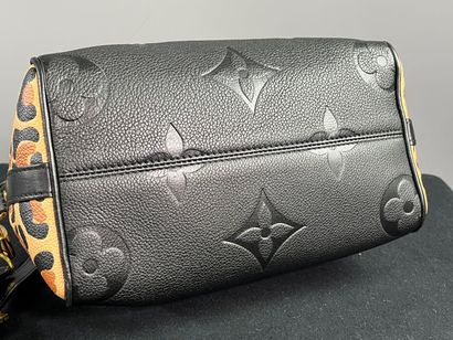 LOUIS VUITTON - Sac SPEEDY PM édition spéciale...