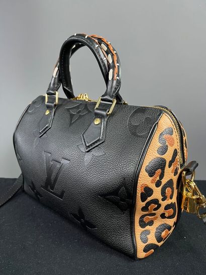 LOUIS VUITTON - Sac SPEEDY PM édition spéciale...