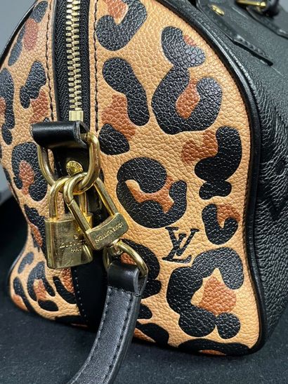 LOUIS VUITTON - Sac SPEEDY PM édition spéciale...
