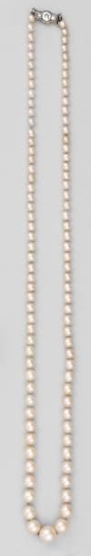 Important collier de 97 perles fines en chute,...