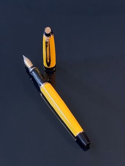 WATERMAN Expert, stylo plume de la collection...