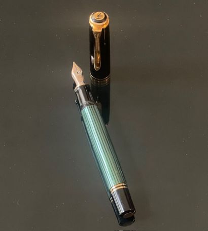 PELIKAN Made in Germany - Stylo Plume Moyenne...