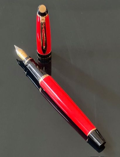 WATERMAN Expert, stylo plume de la collection...