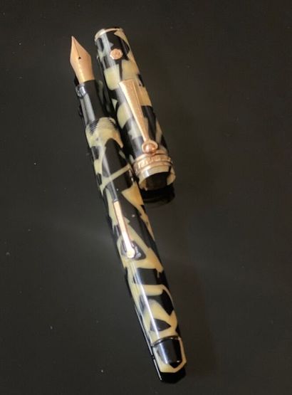WAHL EVERSHARP Made in USA - Stylo plume,...