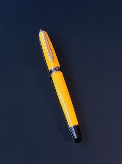 WATERMAN Expert, stylo plume de la collection...
