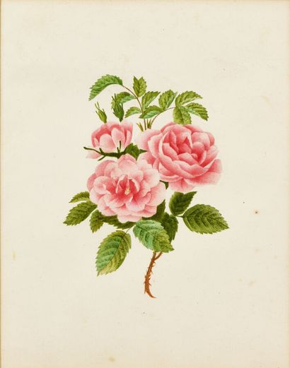 NEO-CLASSIC school 
Four watercolors depicting...