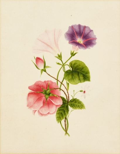 NEO-CLASSIC school 
Four watercolors depicting...