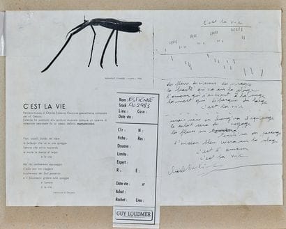 Charles ESTIENNE (1908-1966)
Surrealist-inspired...