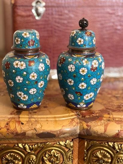 Two covered vases with cloisonné enamel decoration...