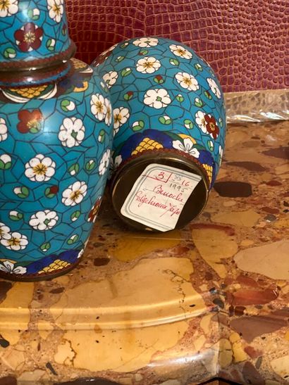 Two covered vases with cloisonné enamel decoration...