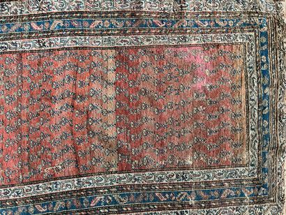 Rectangular oriental rug, red background...
