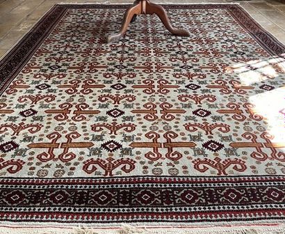 Causase carpet with light blue background...