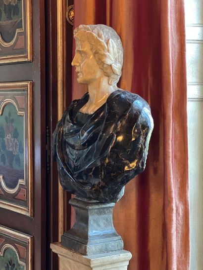 Bust on pedestal carved in white and gray...