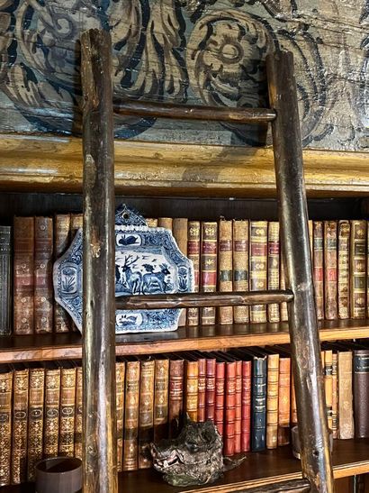 Échelle de bibliothèque en bois naturel (fentes,...