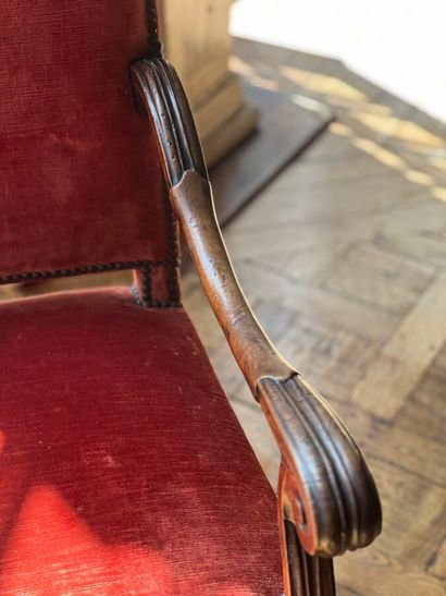 Armchair in carved natural wood, with curved...
